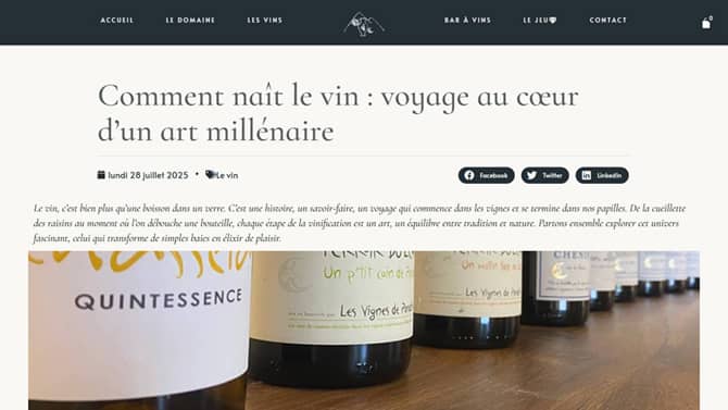 Page article vin Les Vignes de Paradis