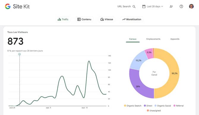 Graphique SEO et optimisation web