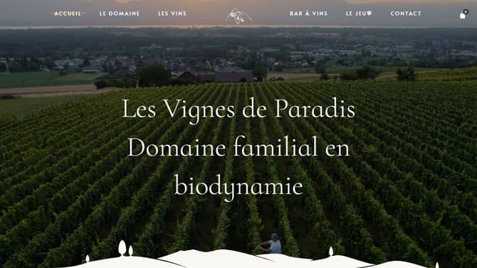 Page accueil site e-commerce Les Vignes de Paradis