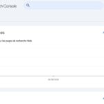 Page de la Google Search Console à zéro (Crédit : capture blog Wordpress)