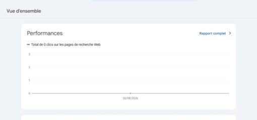 Page de la Google Search Console à zéro (Crédit : capture blog Wordpress)